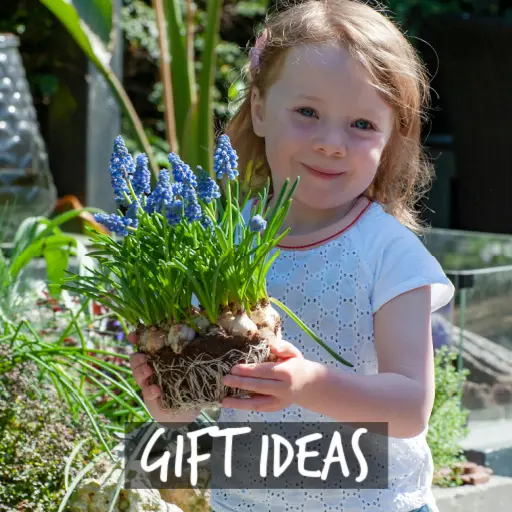 Natural Bulbs | Gaveideer