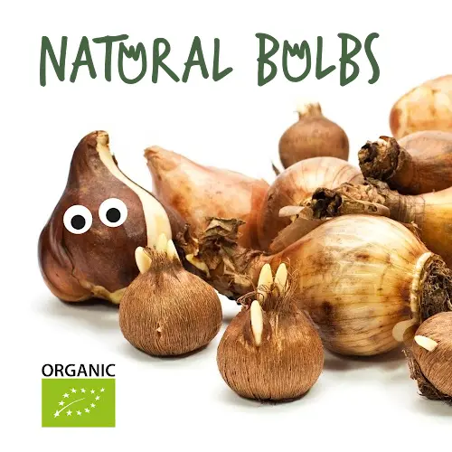 Natural Bulbs | Passion for en sund natur