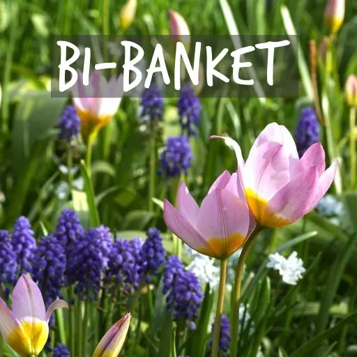 Natural Bulbs | Pakker til bier