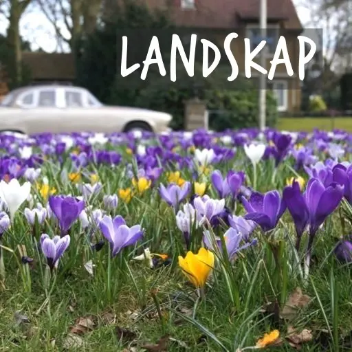 Natural Bulbs | Landskapsarkitektur