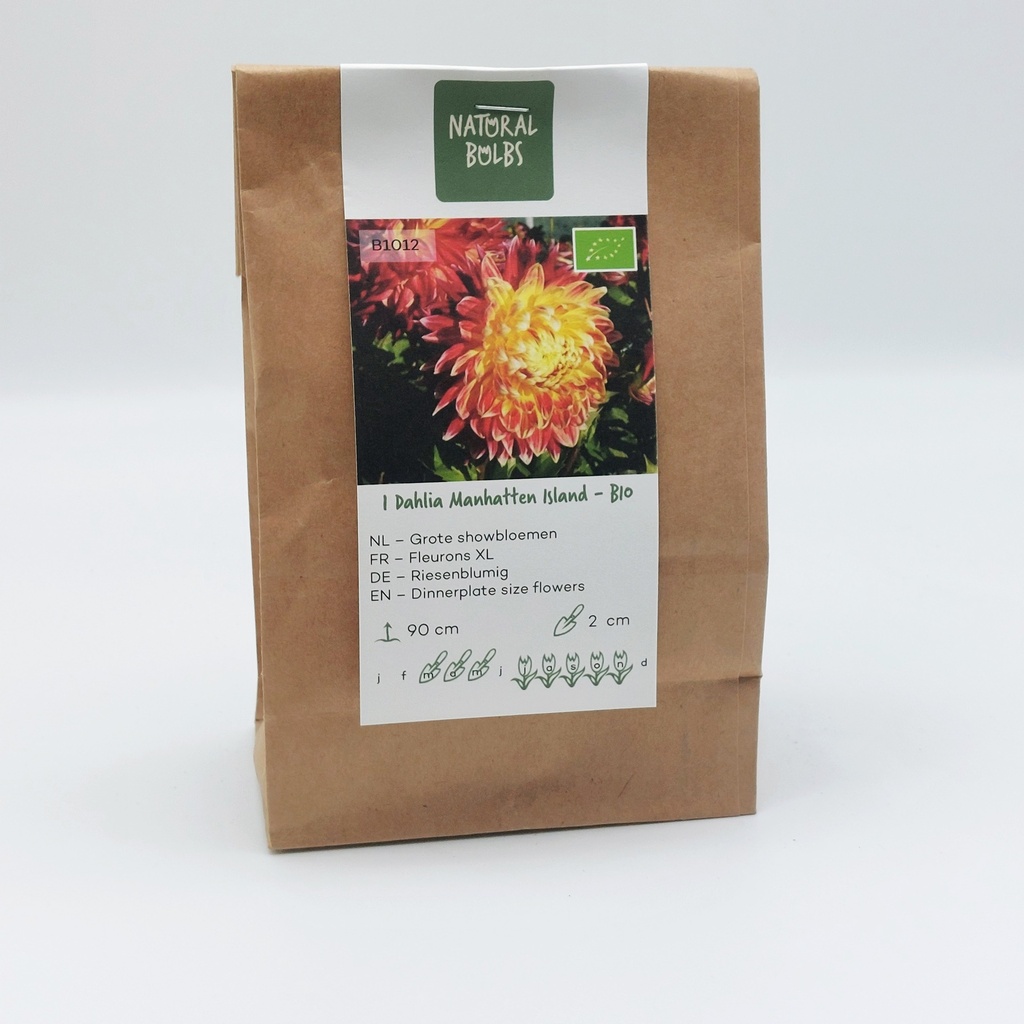 Dahlia Manhattan Island - BIO