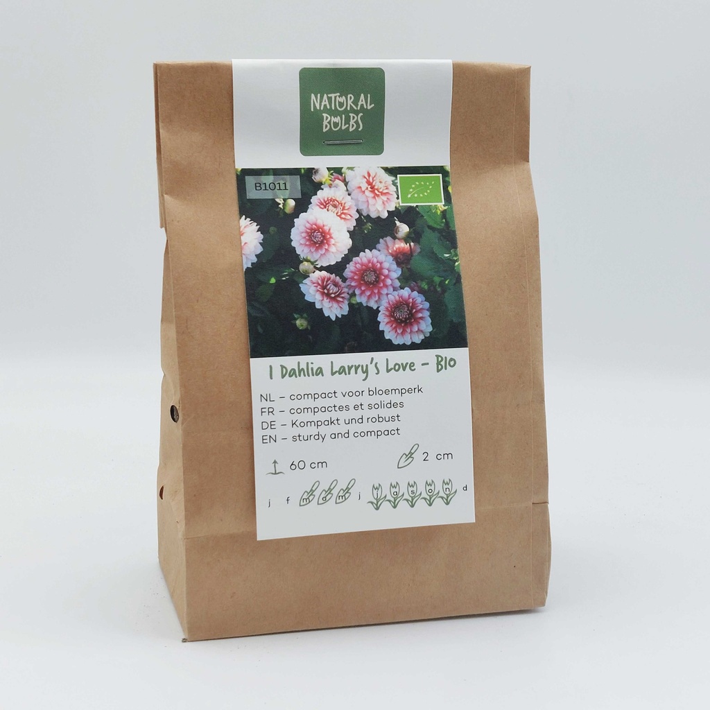 Dahlia Larrys Love - BIO