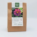 Dahlia Fantastico - BIO