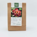 Dahlia Festivo - BIO