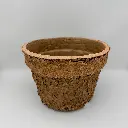 Natural Collection Pot Standing.webp