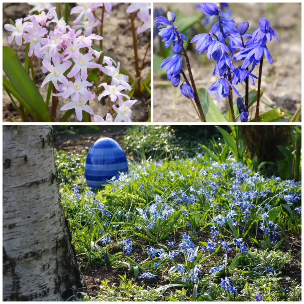 Stjernehimmel Biebanket - BIO