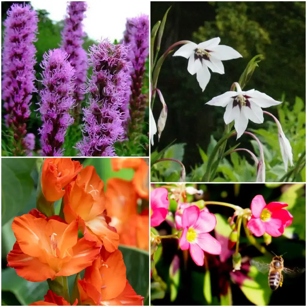 Sommerløgsblanding til bier 28 ST - BIO