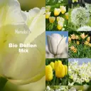 Marieke's Blomsterhave gul/hvid 2 m2 - BIO 