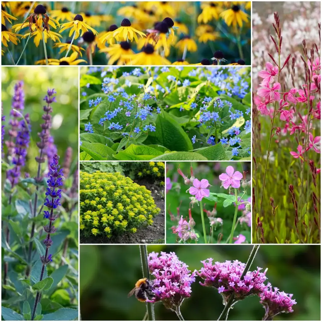 Summen i blomsterbedet – BIO
