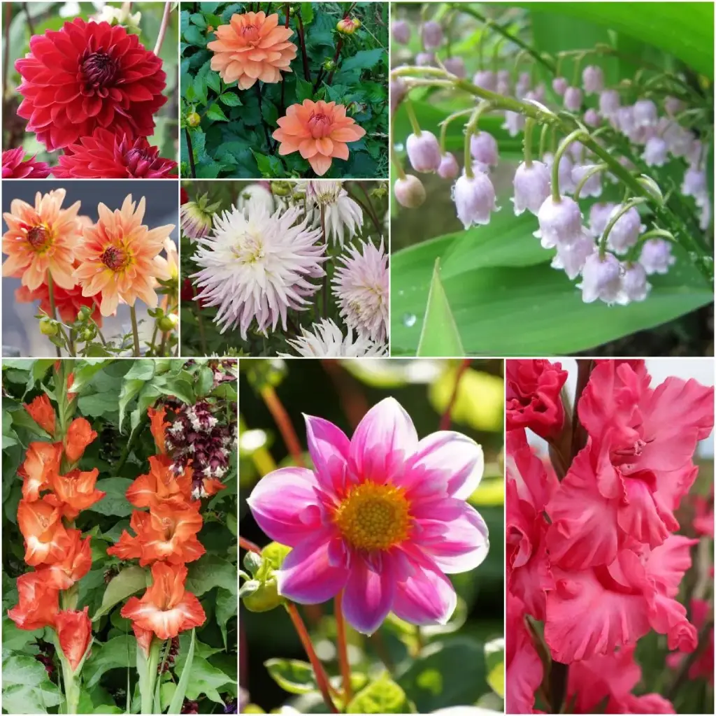 Cottage Garden Summer Dream - BIO (V2)