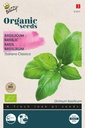 Basilikum Italiano Classico - BIO