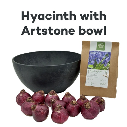 [AC99078] Hyacinth Delft Blue med Artstone-skål - BIO