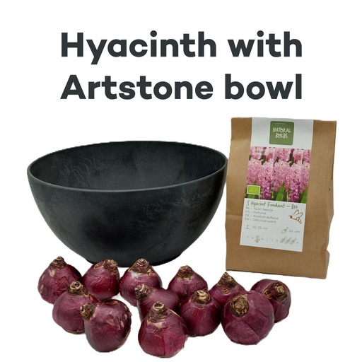 [AC99079] Hyacint Fondant med Artstone-skål - BIO