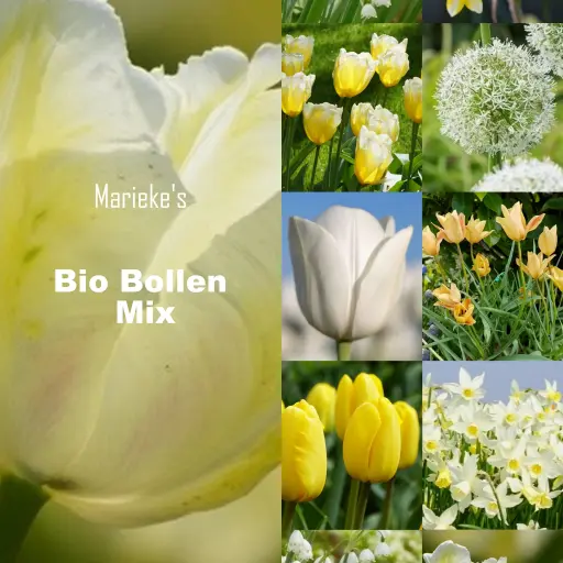 [AC99088] Marieke's Blomsterhave gul/hvid 2 m2 - BIO 