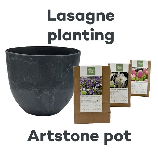 [AC99093] Bulb Lasagne with Artstone pot Grey - BIO