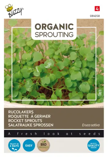 [Buzzy-084058] Rucola karse - Spirer- BIO