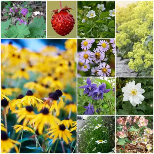 [B7903] Tile Remover Garden Bed Kit partial shade 4 m² - ORG