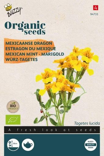 [Buzzy-94733] Mexikansk Esdragon - BIO